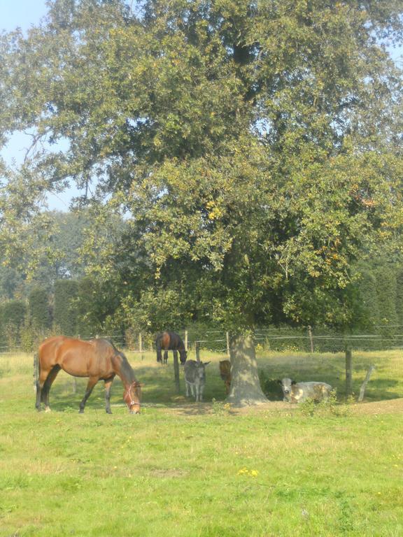 Farm Stay Luythoeve Meeuwen Exterior foto