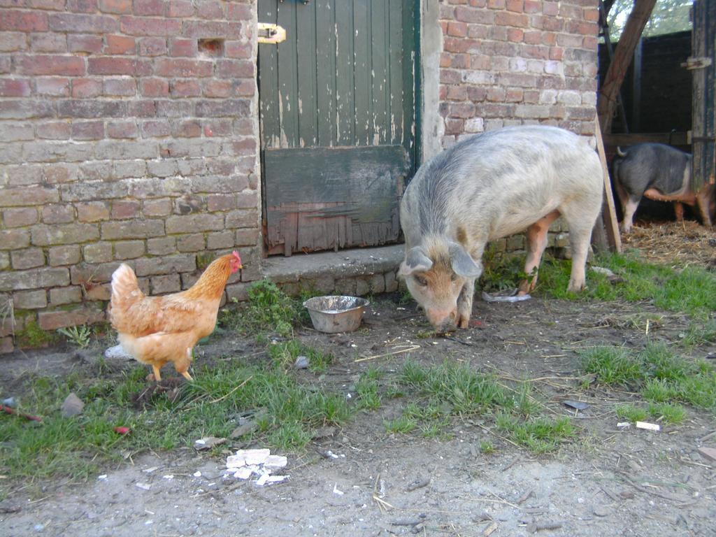 Farm Stay Luythoeve Meeuwen Exterior foto